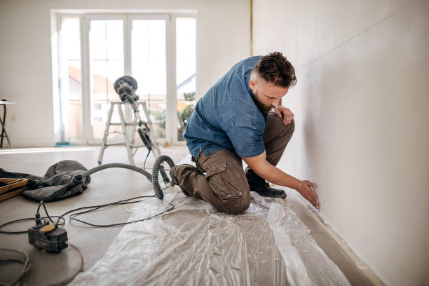 Best Ceiling Drywall Installation  in Babbitt, MN